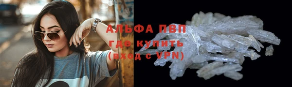 PSILOCYBIN Гусев
